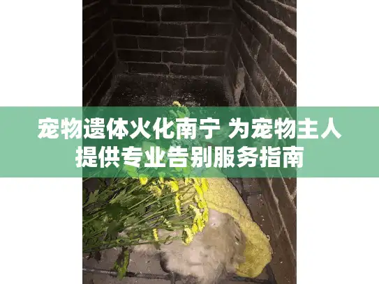 宠物遗体火化南宁 为宠物主人提供专业告别服务指南