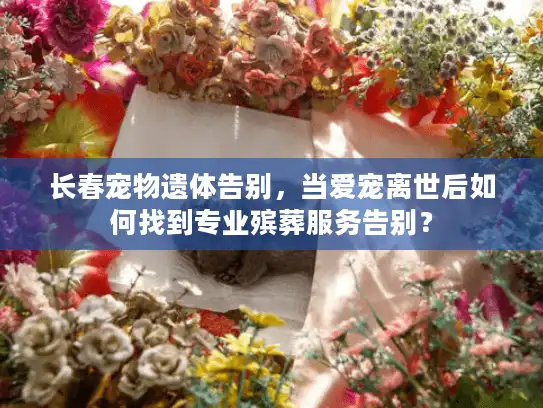 长春宠物遗体告别，当爱宠离世后如何找到专业殡葬服务告别？