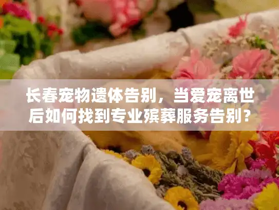 长春宠物遗体告别，当爱宠离世后如何找到专业殡葬服务告别？