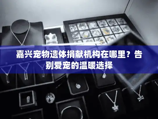 嘉兴宠物遗体捐献机构在哪里？告别爱宠的温暖选择