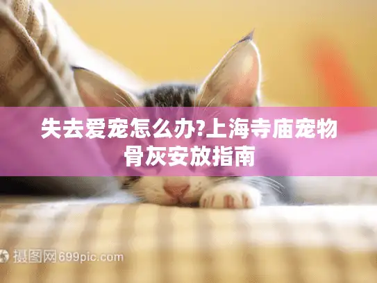 失去爱宠怎么办?上海寺庙宠物骨灰安放指南