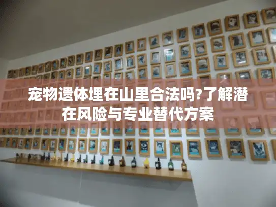宠物遗体埋在山里合法吗?了解潜在风险与专业替代方案