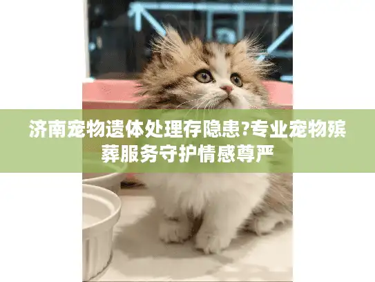 济南宠物遗体处理存隐患?专业宠物殡葬服务守护情感尊严