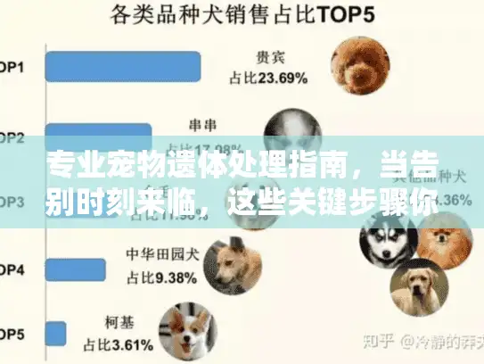专业宠物遗体处理指南，当告别时刻来临，这些关键步骤你知道吗？