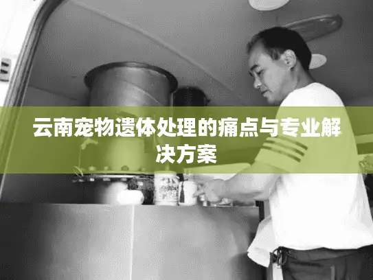 云南宠物遗体处理的痛点与专业解决方案