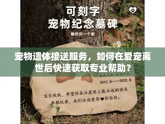 宠物遗体接送服务，如何在爱宠离世后快速获取专业帮助？