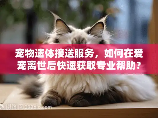 宠物遗体接送服务，如何在爱宠离世后快速获取专业帮助？