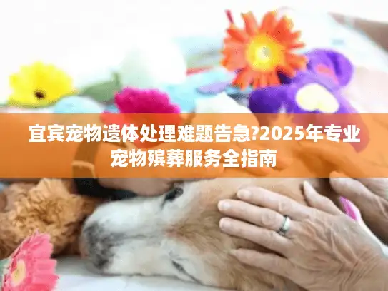 宜宾宠物遗体处理难题告急?2025年专业宠物殡葬服务全指南