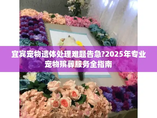 宜宾宠物遗体处理难题告急?2025年专业宠物殡葬服务全指南