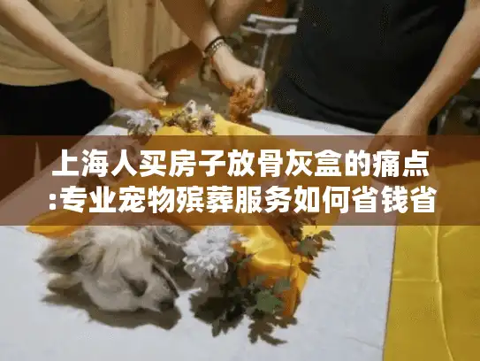 上海人买房子放骨灰盒的痛点:专业宠物殡葬服务如何省钱省心?