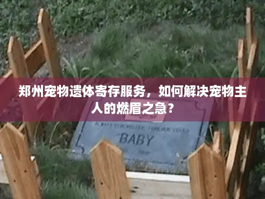 郑州宠物遗体寄存服务，如何解决宠物主人的燃眉之急？