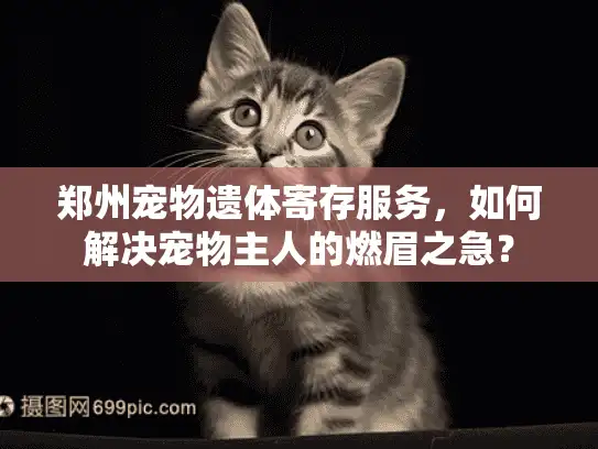 郑州宠物遗体寄存服务，如何解决宠物主人的燃眉之急？