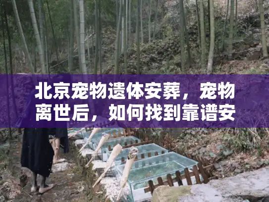 北京宠物遗体安葬，宠物离世后，如何找到靠谱安葬服务？