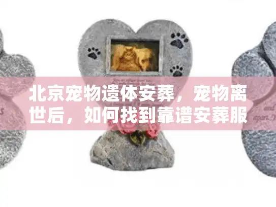 北京宠物遗体安葬，宠物离世后，如何找到靠谱安葬服务？