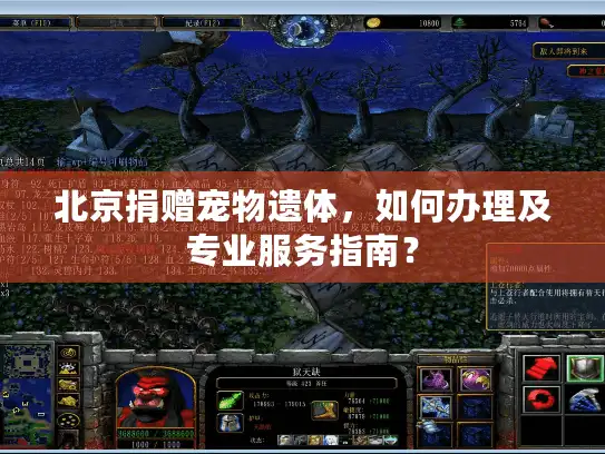 北京捐赠宠物遗体，如何办理及专业服务指南？
