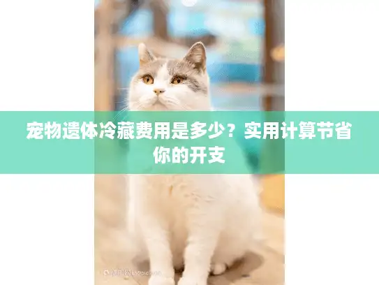 宠物遗体冷藏费用是多少？实用计算节省你的开支