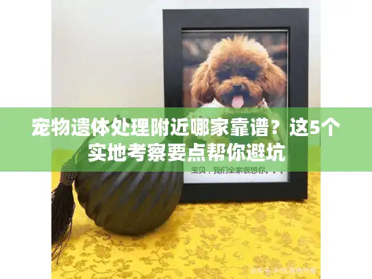 宠物遗体处理附近哪家靠谱？这5个实地考察要点帮你避坑