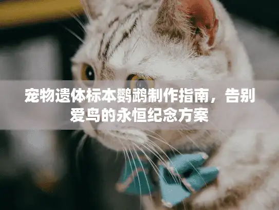 宠物遗体标本鹦鹉制作指南，告别爱鸟的永恒纪念方案