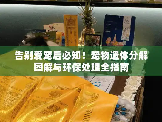 告别爱宠后必知！宠物遗体分解图解与环保处理全指南