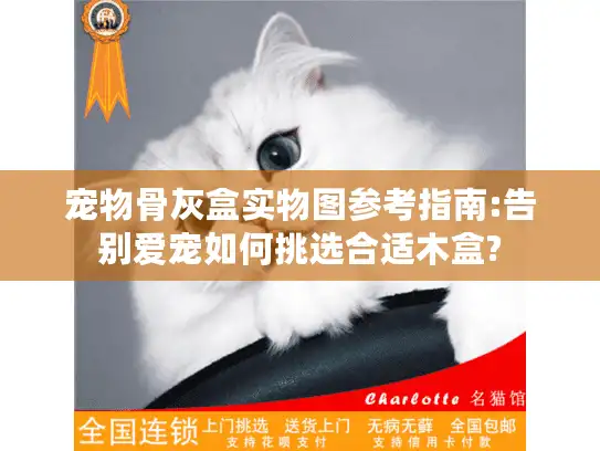 宠物骨灰盒实物图参考指南:告别爱宠如何挑选合适木盒?