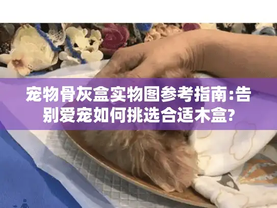 宠物骨灰盒实物图参考指南:告别爱宠如何挑选合适木盒?