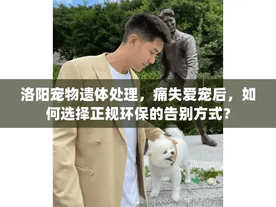 洛阳宠物遗体处理，痛失爱宠后，如何选择正规环保的告别方式？