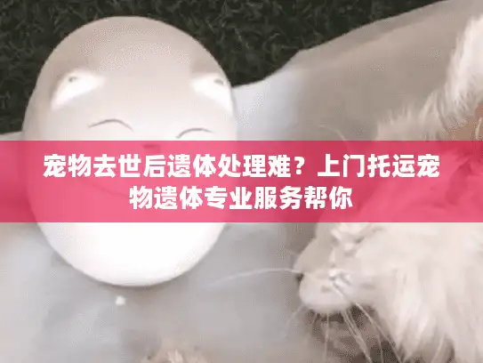 宠物去世后遗体处理难？上门托运宠物遗体专业服务帮你