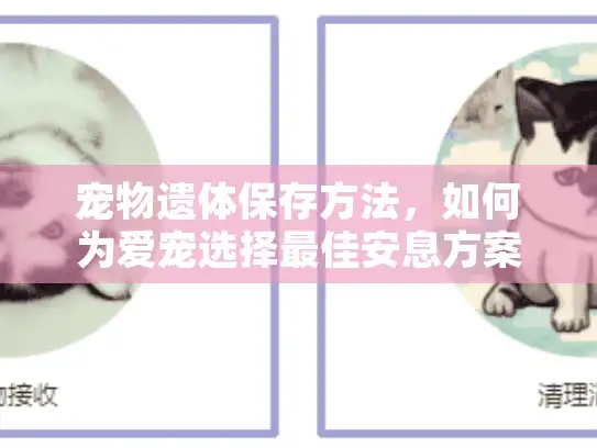 宠物遗体保存方法，如何为爱宠选择最佳安息方案？