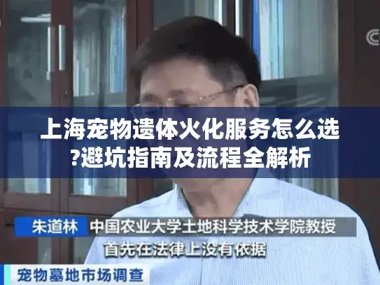 上海宠物遗体火化服务怎么选?避坑指南及流程全解析