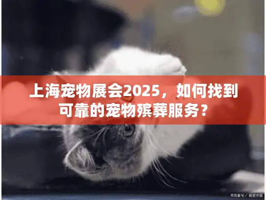 上海宠物展会2025，如何找到可靠的宠物殡葬服务？