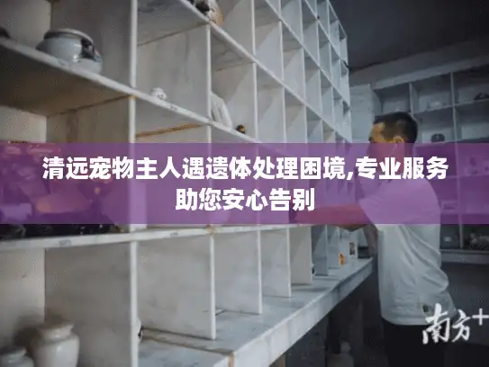 清远宠物主人遇遗体处理困境,专业服务助您安心告别