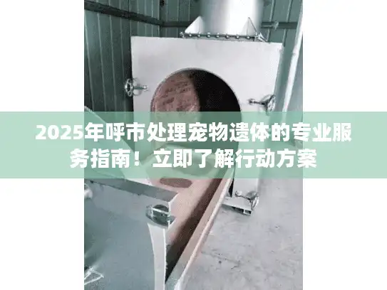 2025年呼市处理宠物遗体的专业服务指南！立即了解行动方案