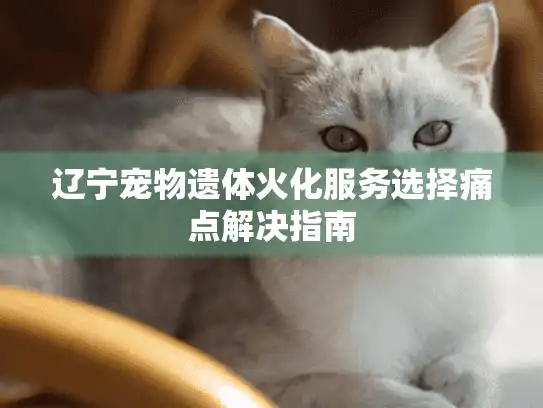辽宁宠物遗体火化服务选择痛点解决指南