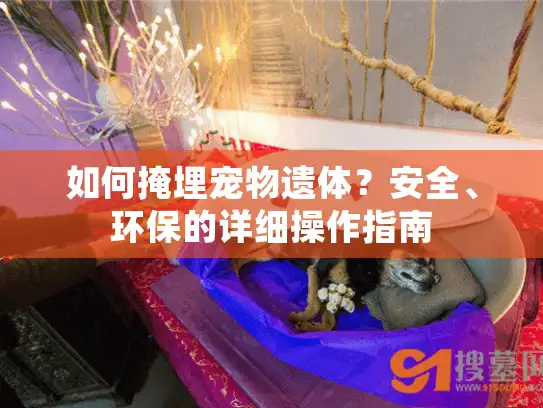 如何掩埋宠物遗体？安全、环保的详细操作指南