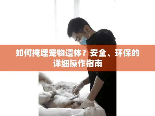 如何掩埋宠物遗体？安全、环保的详细操作指南