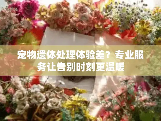 宠物遗体处理体验差？专业服务让告别时刻更温暖