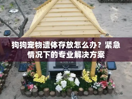 狗狗宠物遗体存放怎么办？紧急情况下的专业解决方案