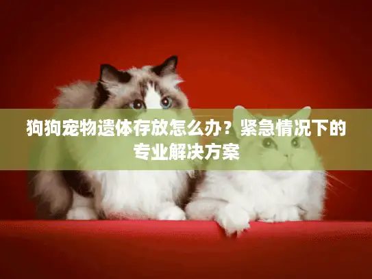 狗狗宠物遗体存放怎么办？紧急情况下的专业解决方案