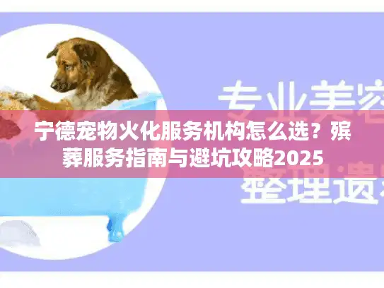 宁德宠物火化服务机构怎么选？殡葬服务指南与避坑攻略2025
