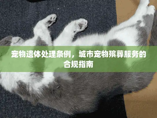 宠物遗体处理条例，城市宠物殡葬服务的合规指南