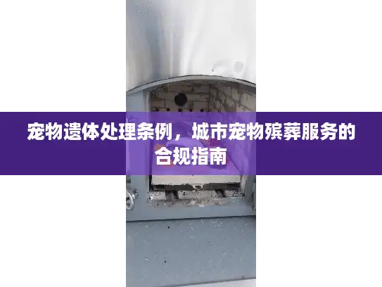 宠物遗体处理条例，城市宠物殡葬服务的合规指南