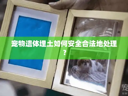 宠物遗体埋土如何安全合法地处理？