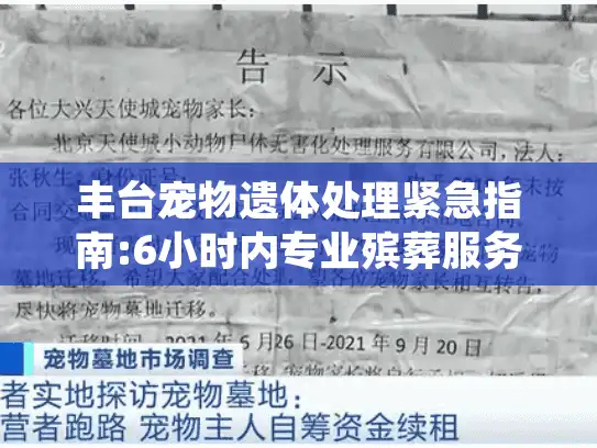丰台宠物遗体处理紧急指南:6小时内专业殡葬服务全程解析
