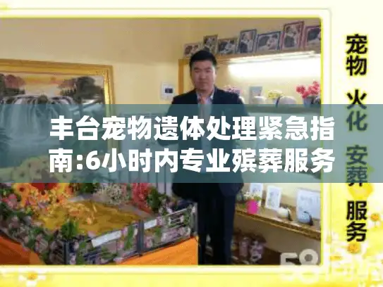 丰台宠物遗体处理紧急指南:6小时内专业殡葬服务全程解析