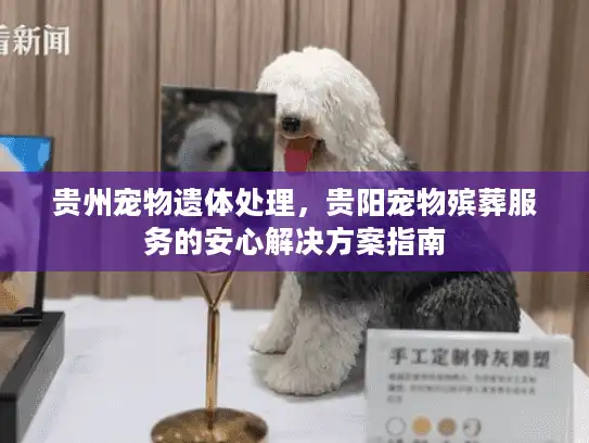 贵州宠物遗体处理，贵阳宠物殡葬服务的安心解决方案指南