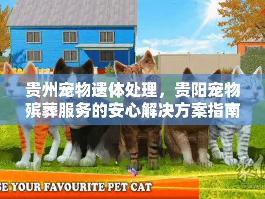 贵州宠物遗体处理，贵阳宠物殡葬服务的安心解决方案指南