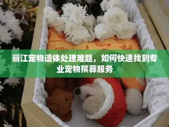 丽江宠物遗体处理难题，如何快速找到专业宠物殡葬服务
