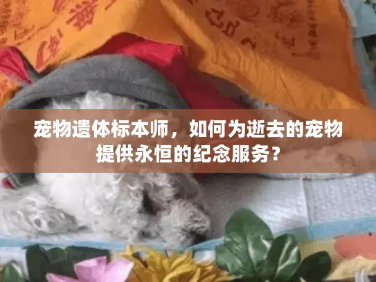 宠物遗体标本师，如何为逝去的宠物提供永恒的纪念服务？
