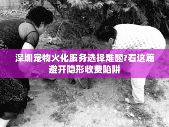 深圳宠物火化服务选择难题?看这篇避开隐形收费陷阱