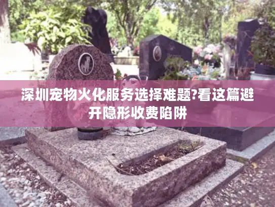 深圳宠物火化服务选择难题?看这篇避开隐形收费陷阱